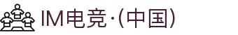 IM(股份有限公司)电竞-电子竞技平台